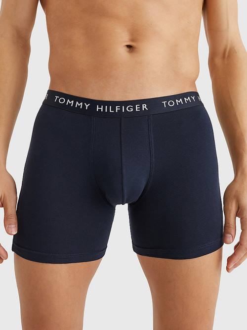 Tommy Hilfiger 3-Pack Logo Waistband Boxer Briefs Moški Spodnje Perilo Rjav | TH381WIT