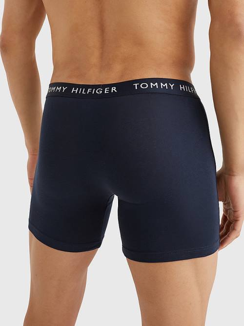 Tommy Hilfiger 3-Pack Logo Waistband Boxer Briefs Moški Spodnje Perilo Rjav | TH381WIT