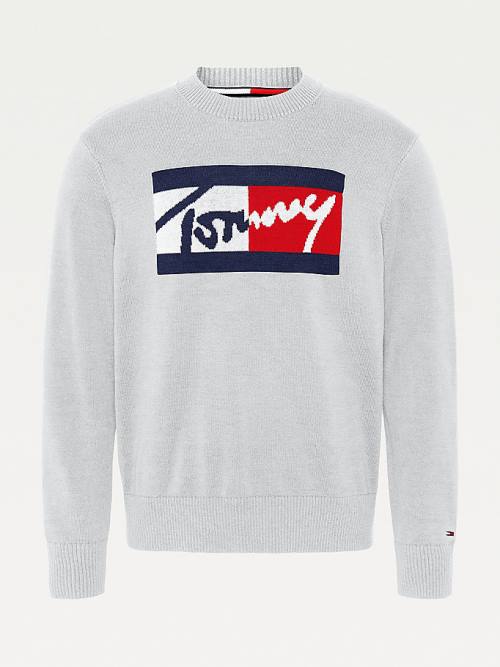 Tommy Hilfiger Crew Neck Relaxed Fit Jumper Moški Puloverji Siva | TH814LUN