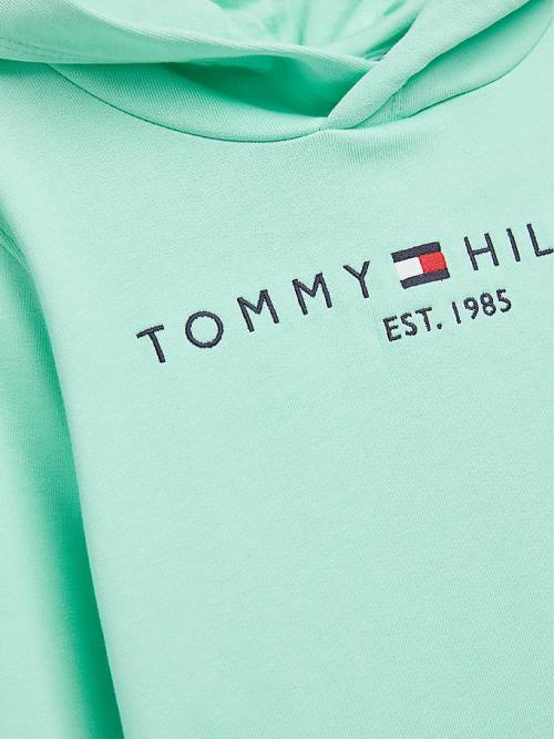 Tommy Hilfiger Essential Logo Fantje Pulover s kapuco Zelena | TH072KQJ