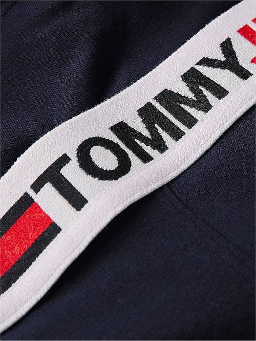 Tommy Hilfiger Logo Waistband Trunks Moški Spodnje Perilo Modra | TH497ZCE