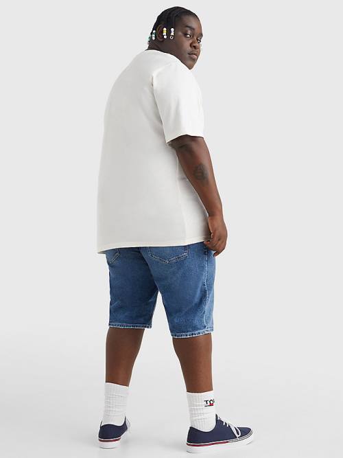 Tommy Hilfiger Plus Organic Cotton Boxy Moški Majice Bela | TH481SJM