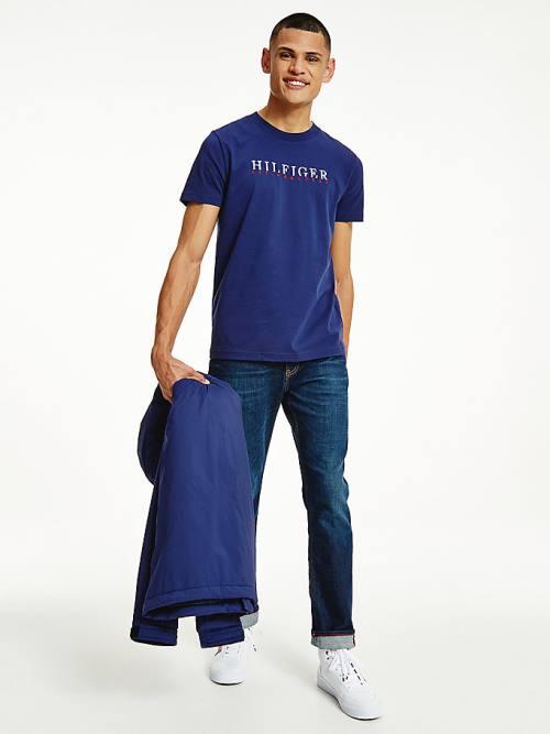 Tommy Hilfiger Signature Organic Cotton Graphic Logo Moški Majice Modra | TH963JEF