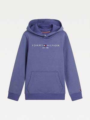 Tommy Hilfiger Essential Logo Fantje Pulover s kapuco Modra | TH734GUC