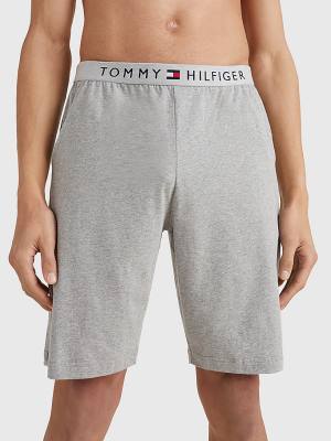 Tommy Hilfiger Original Jersey Logo Shorts Moški Pižama Siva | TH697PUM